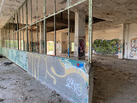Bild verlassene Industriehalle mit Grafitis