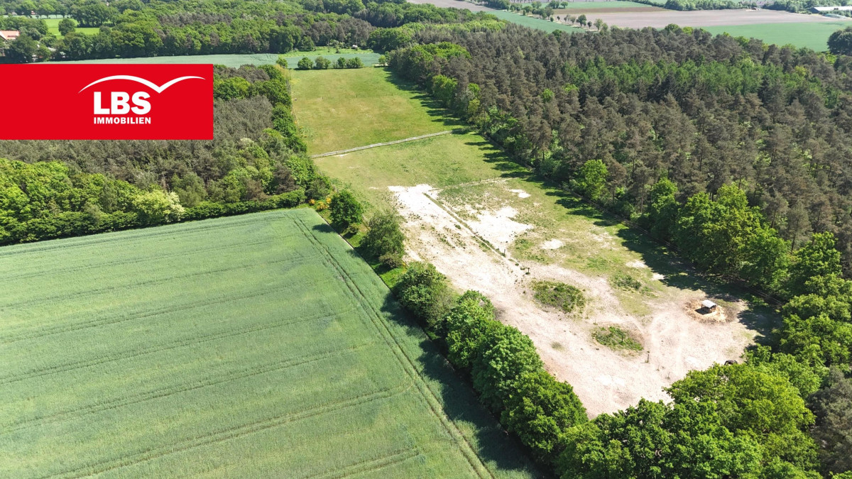 Luftbild Pferdeweide
