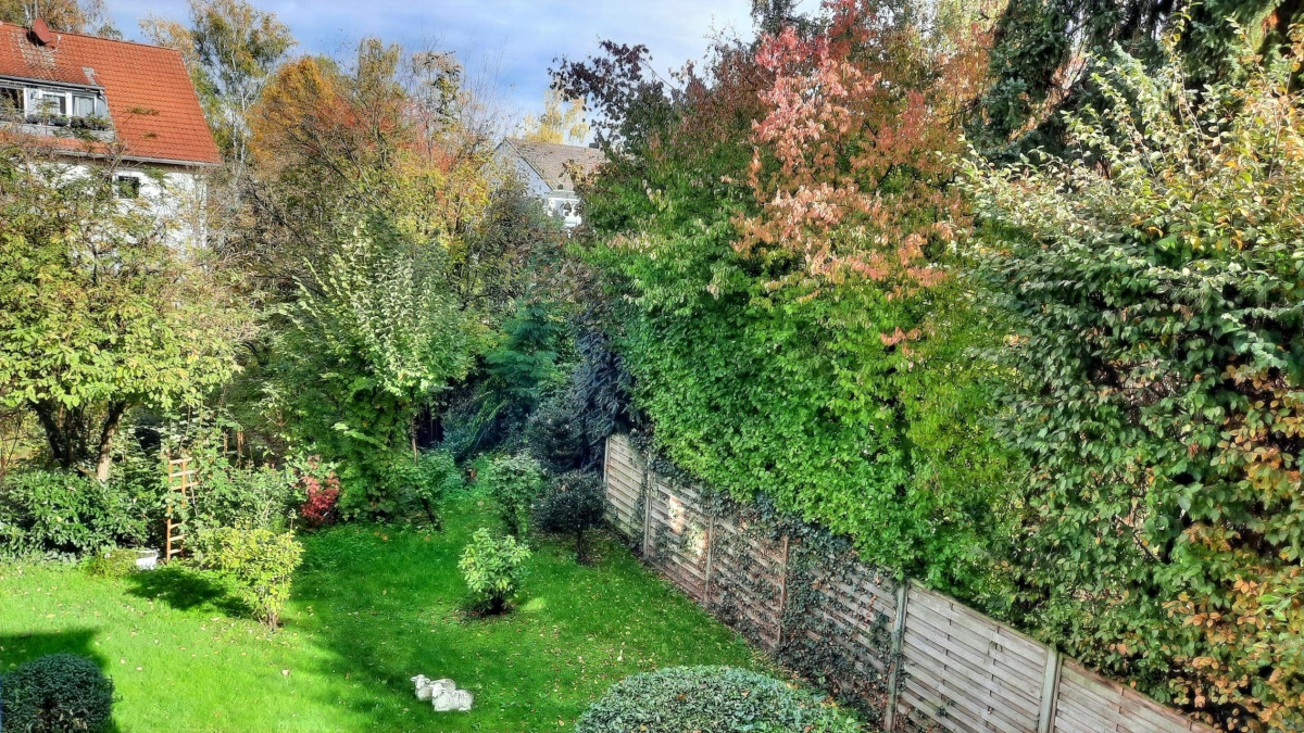 Blick in den Garten