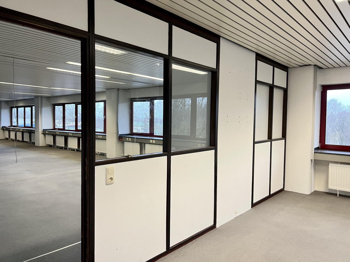 Büro 1 / Großraumbüro