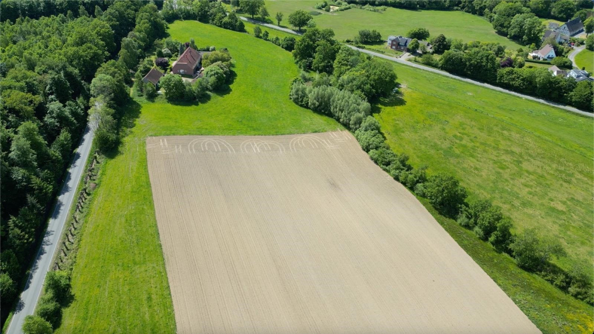 Feld ist optional zu pachten