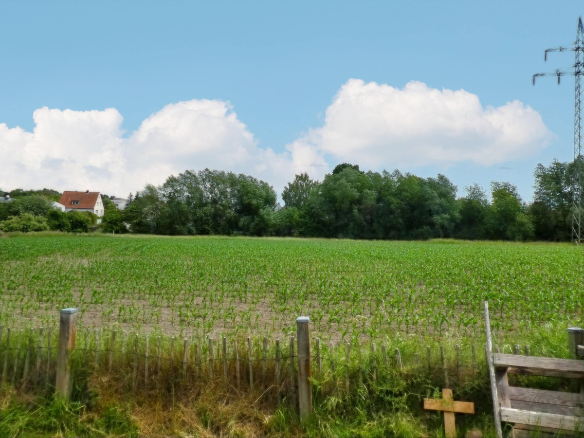 Ausblick vom Garten