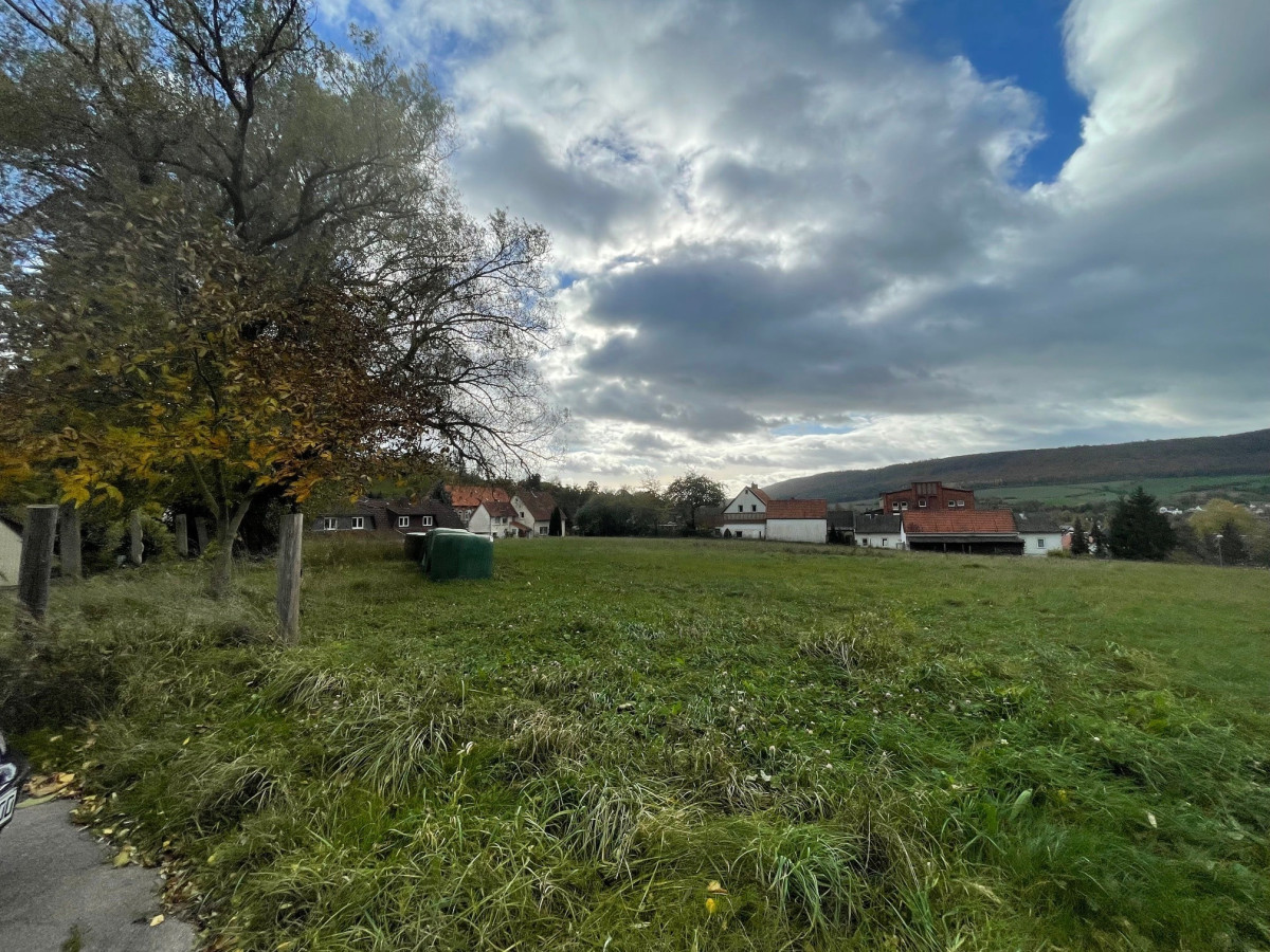 Blick 1