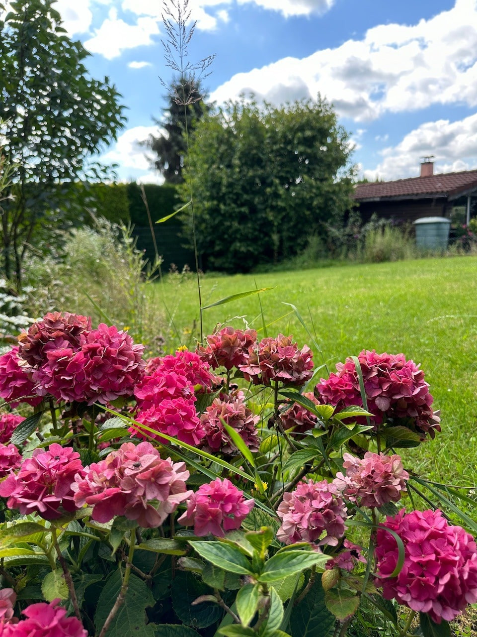Aussenansichten