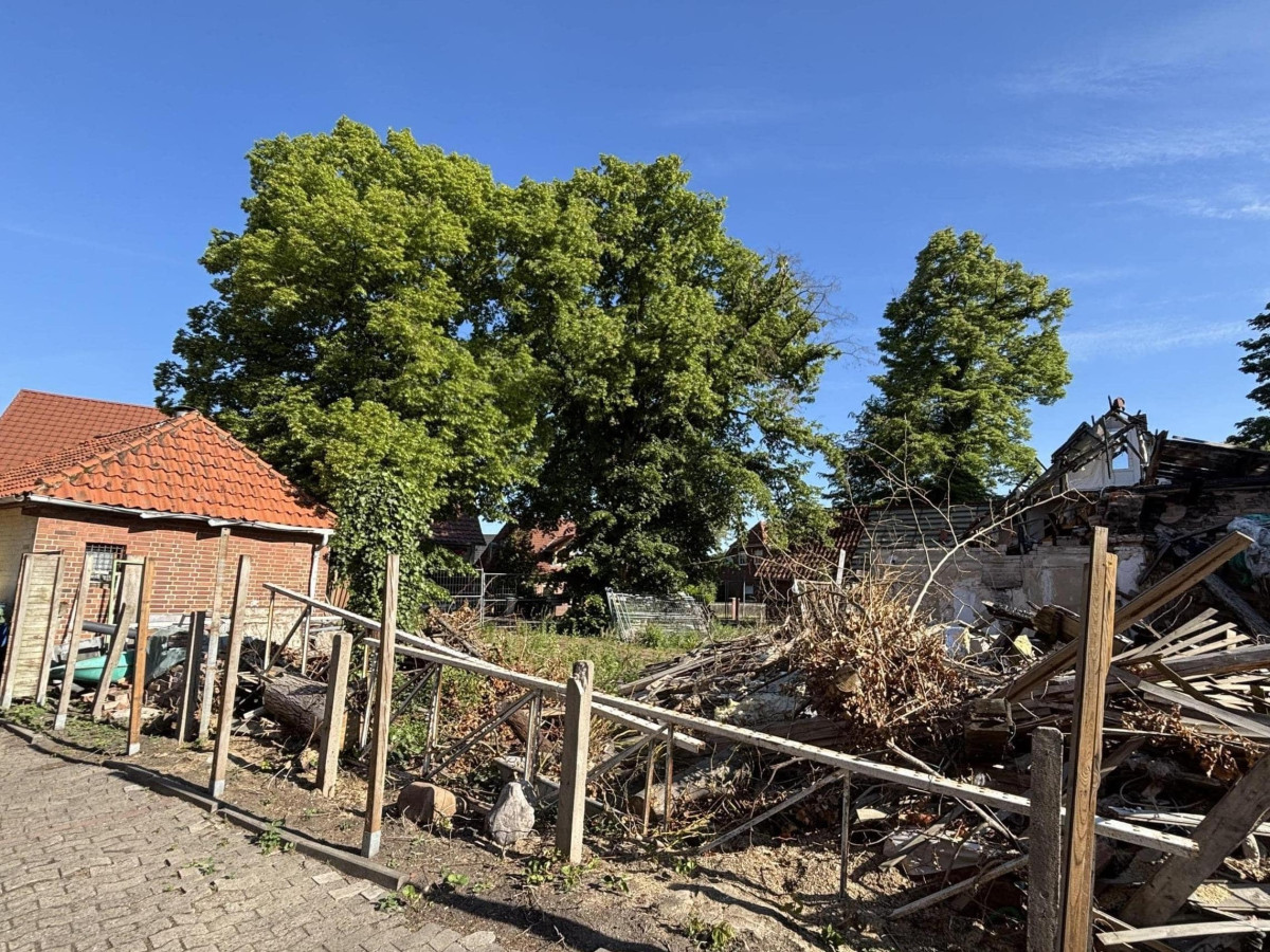 Sicht zur Straße