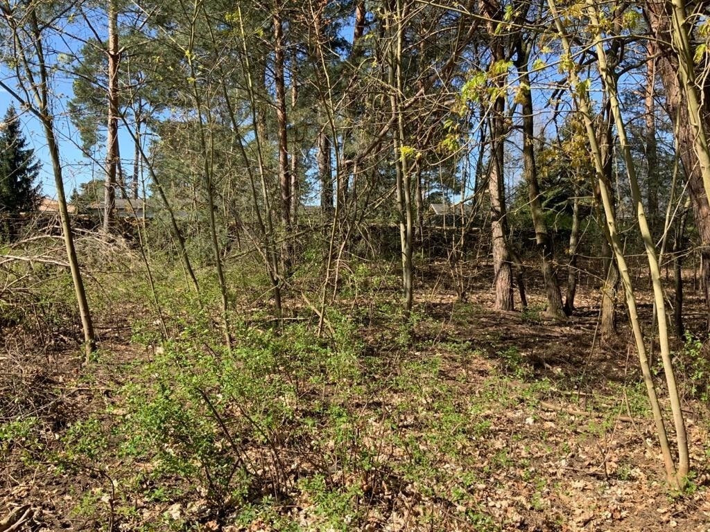 Aussenansichten