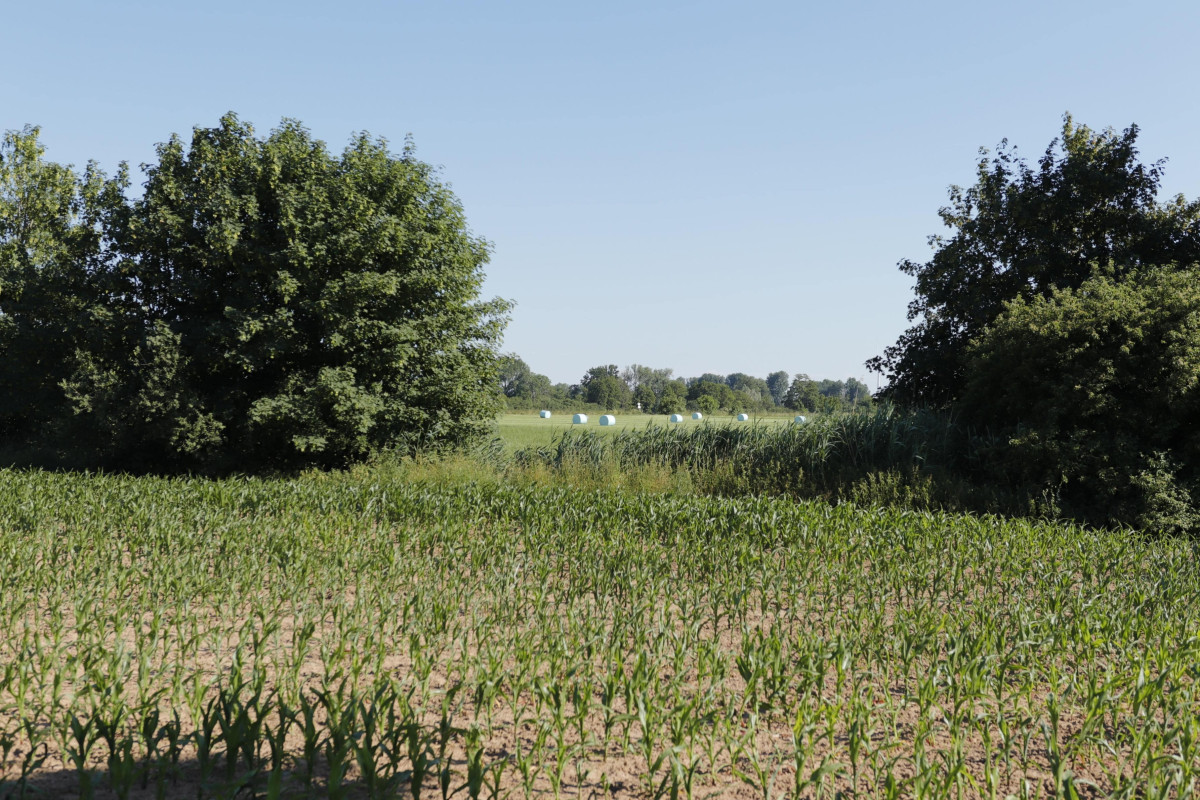 Aussenansichten