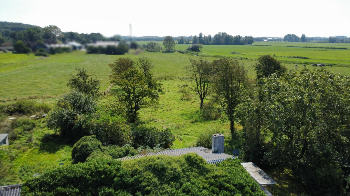 Drohne Obstwiese und Haus