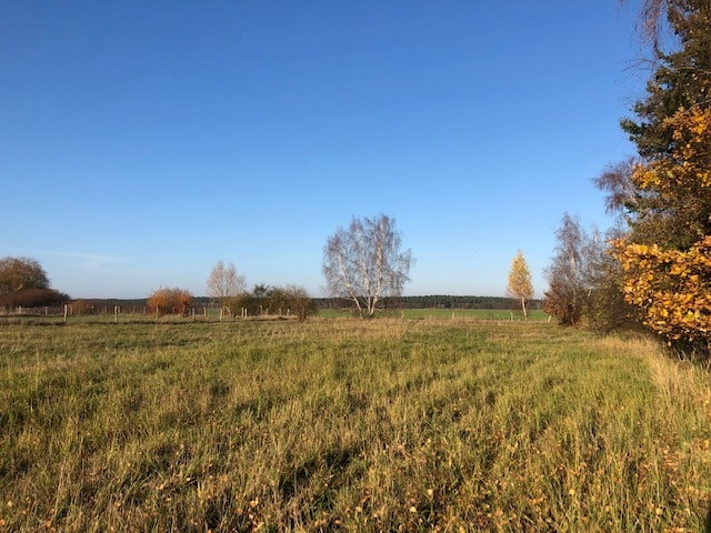 große Wiese