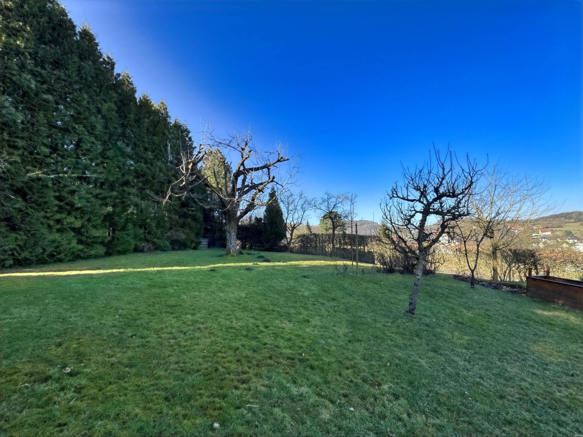 Garten (evtl. Baugrundstück)