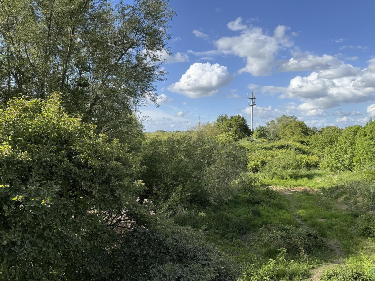 Blick aus dem Kinderzimmer