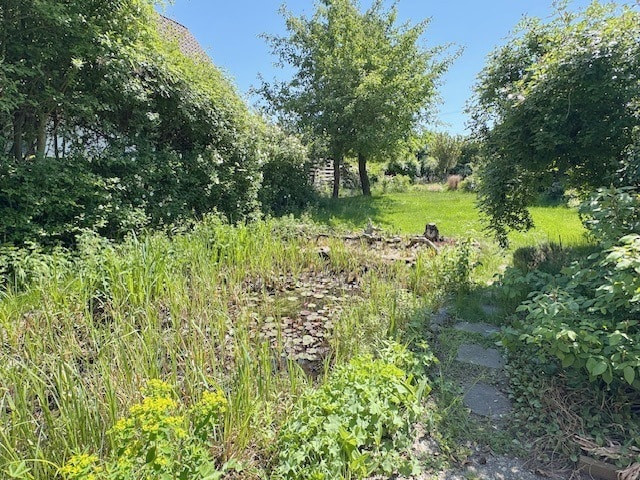 Garten mit Teich