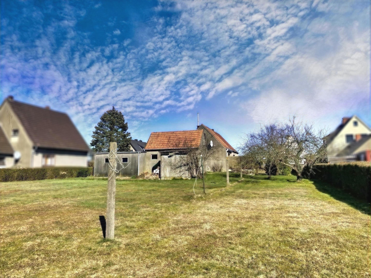 Blick vom hinteren Garten