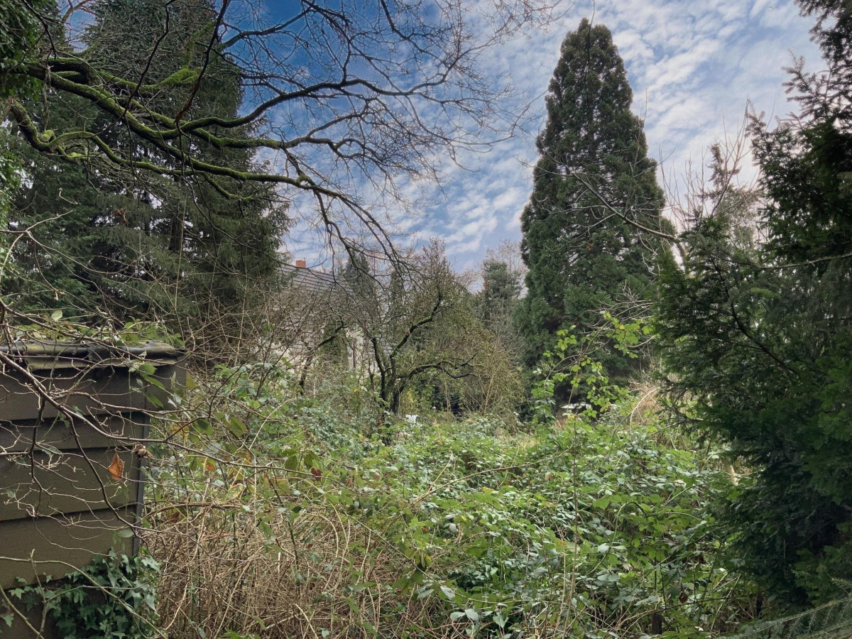 Verwildertes Grundstück