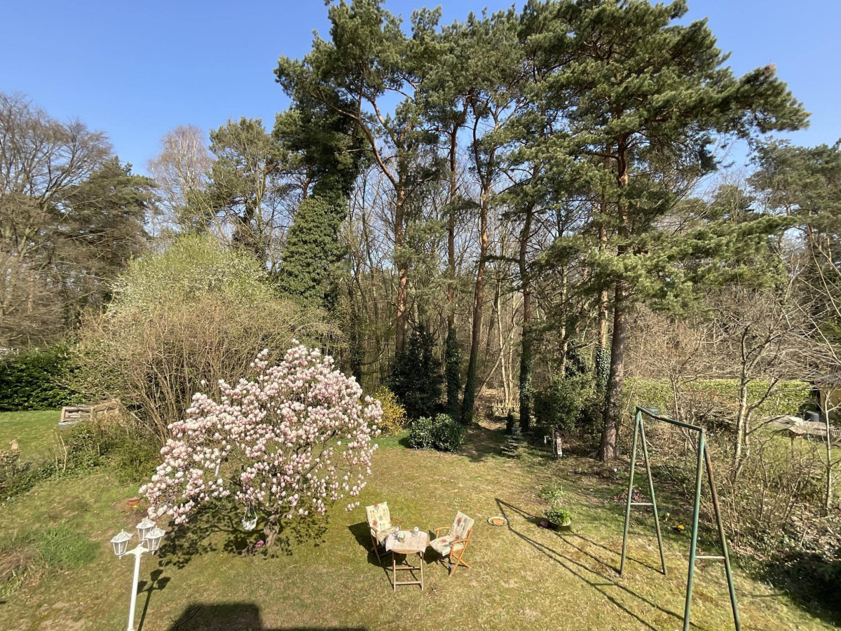 Gartenblick aus dem OG