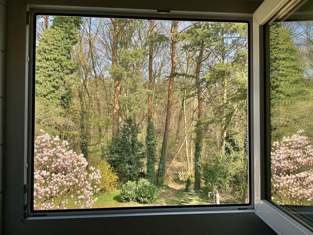 Bad mit grandiosem Waldblick