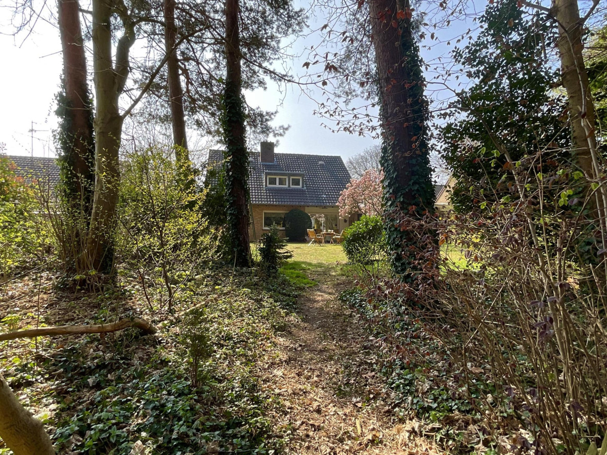 Blick vom Grundstücksrand