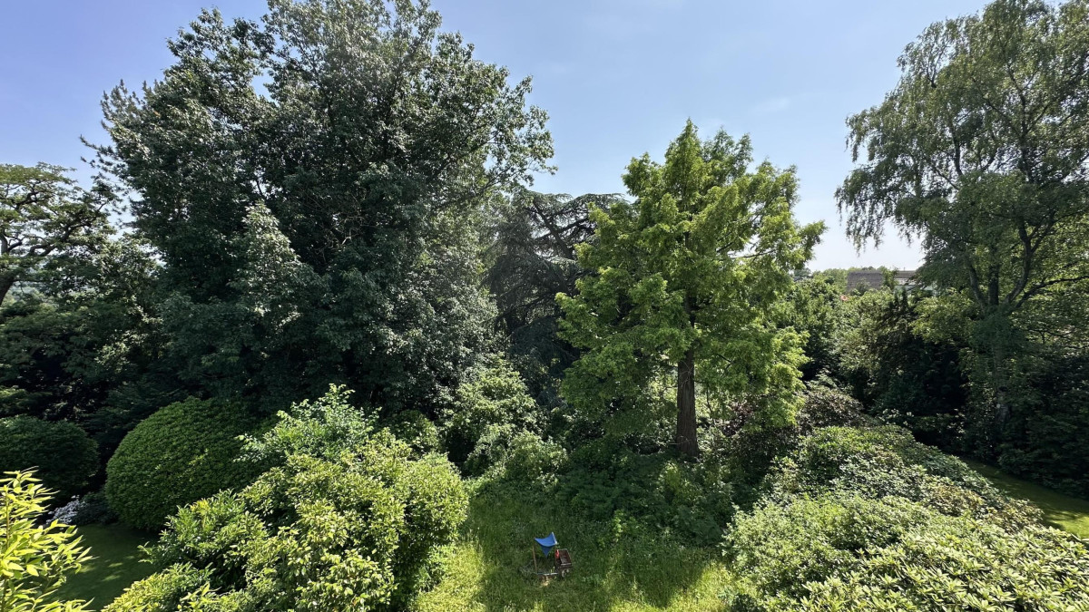 Ausblick Garten
