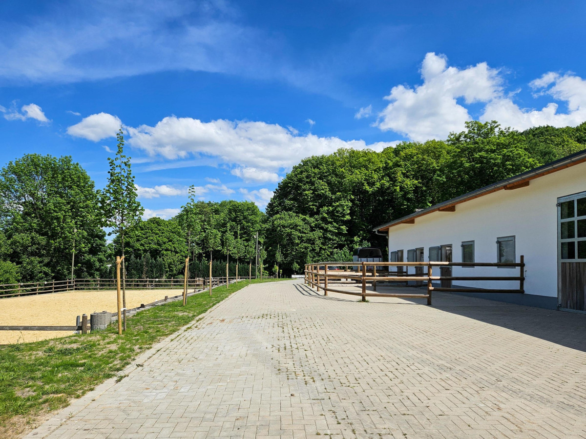 Stallansicht