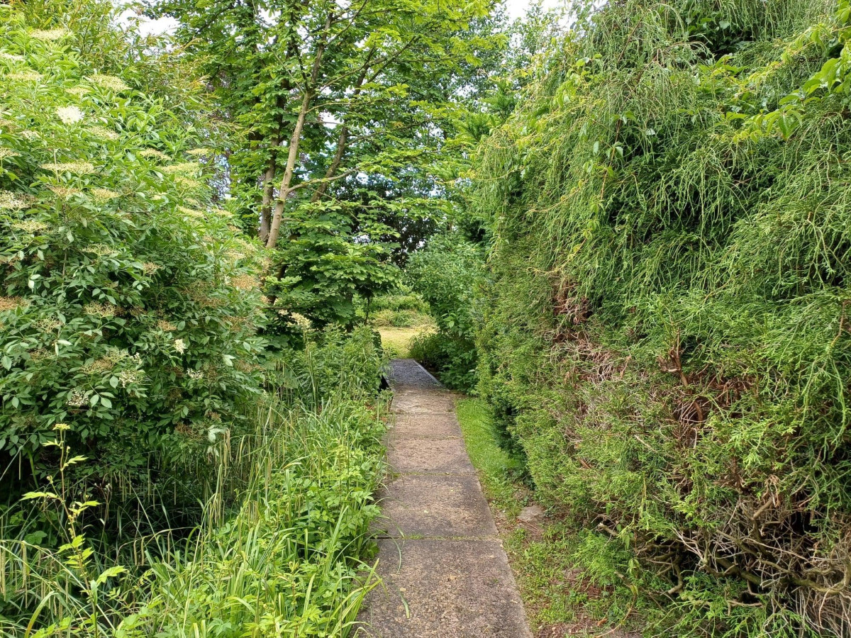 Zugang Obstwiese