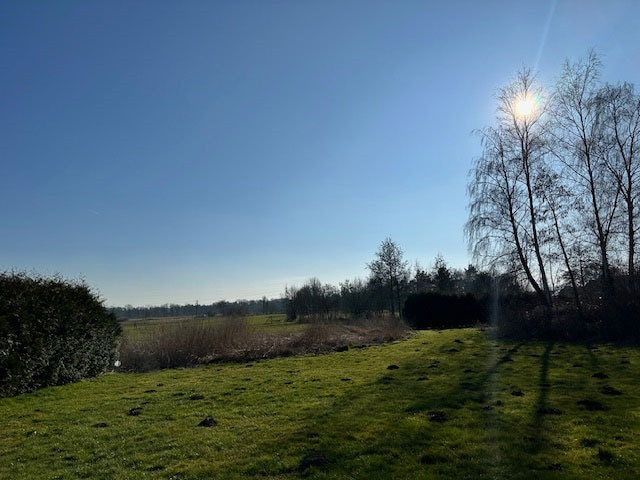 Blick-in-den-Garten