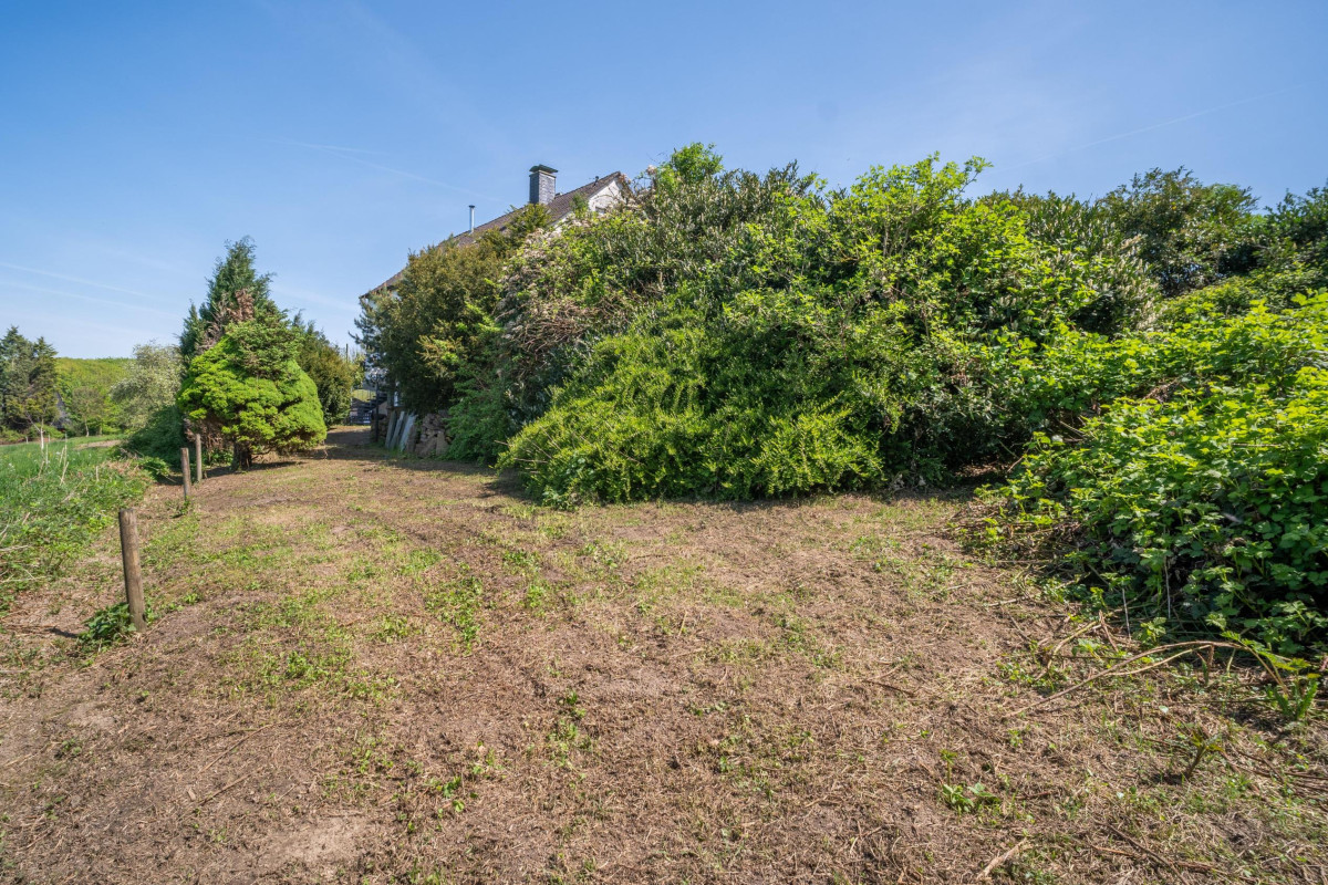Gartenansicht
