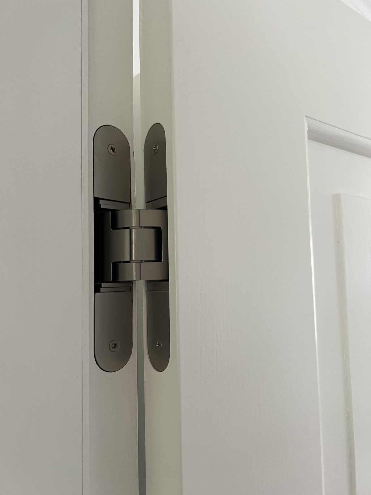 Detailaufnahme Türschanier