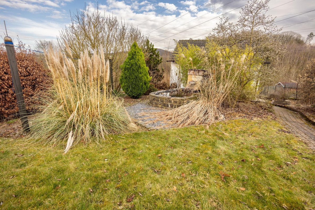 Garten mit kleinem Teich