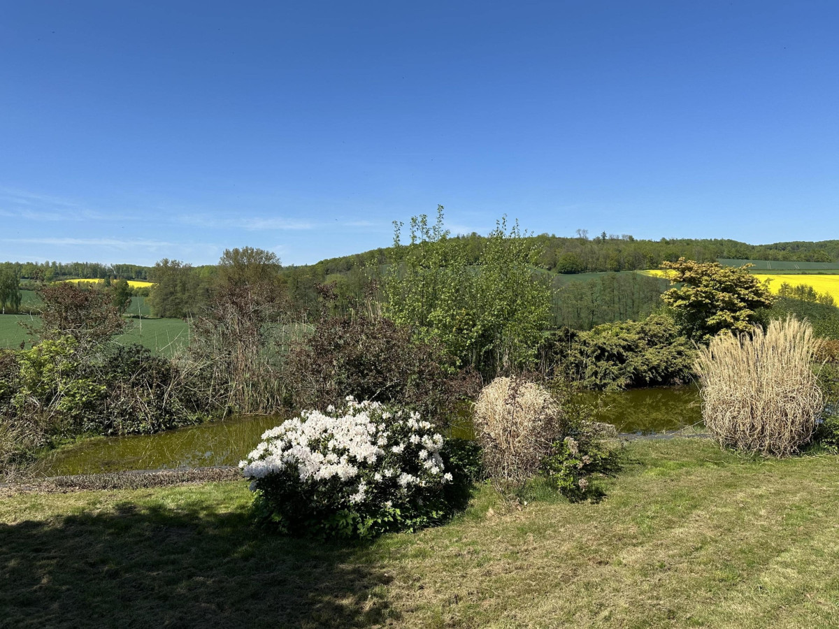 Garten mit Teich