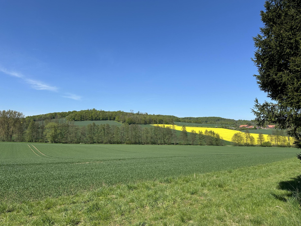 wunderschöne Stadtrandlage