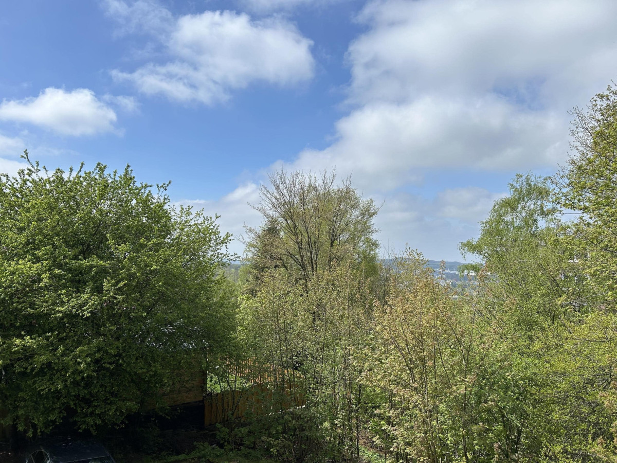Ausblick