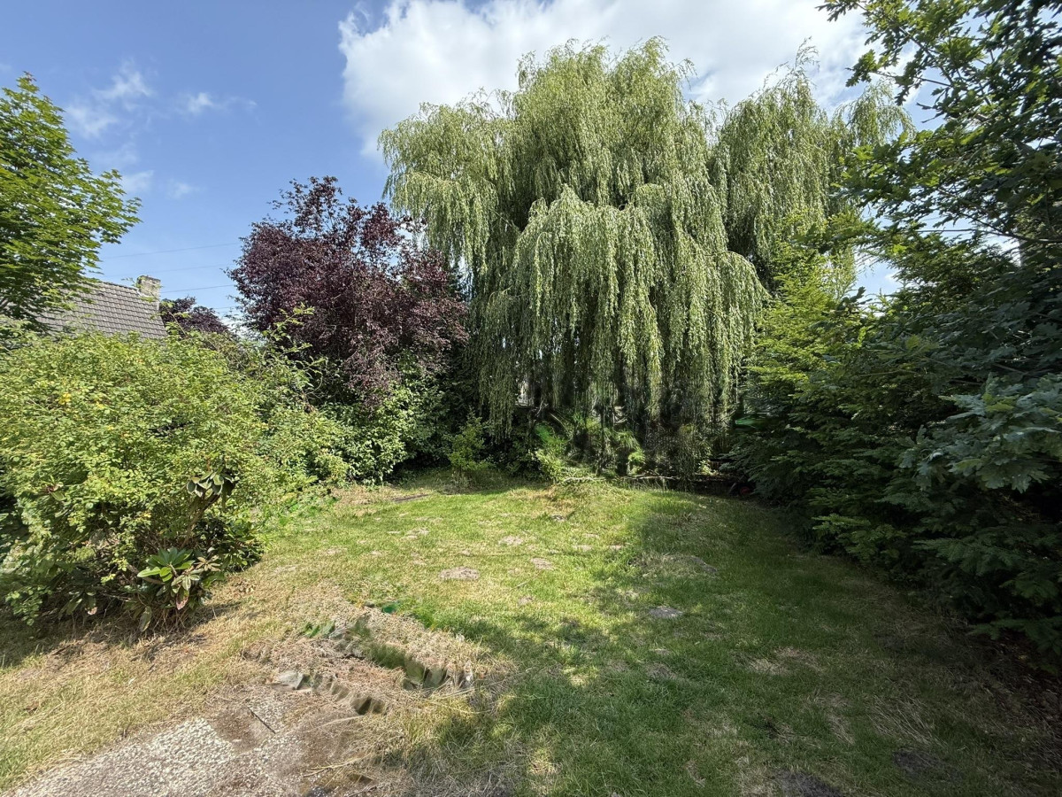 Herrlicher Garten