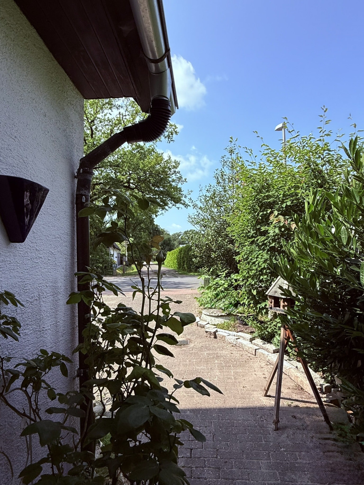 Zuwegung zum Eingang