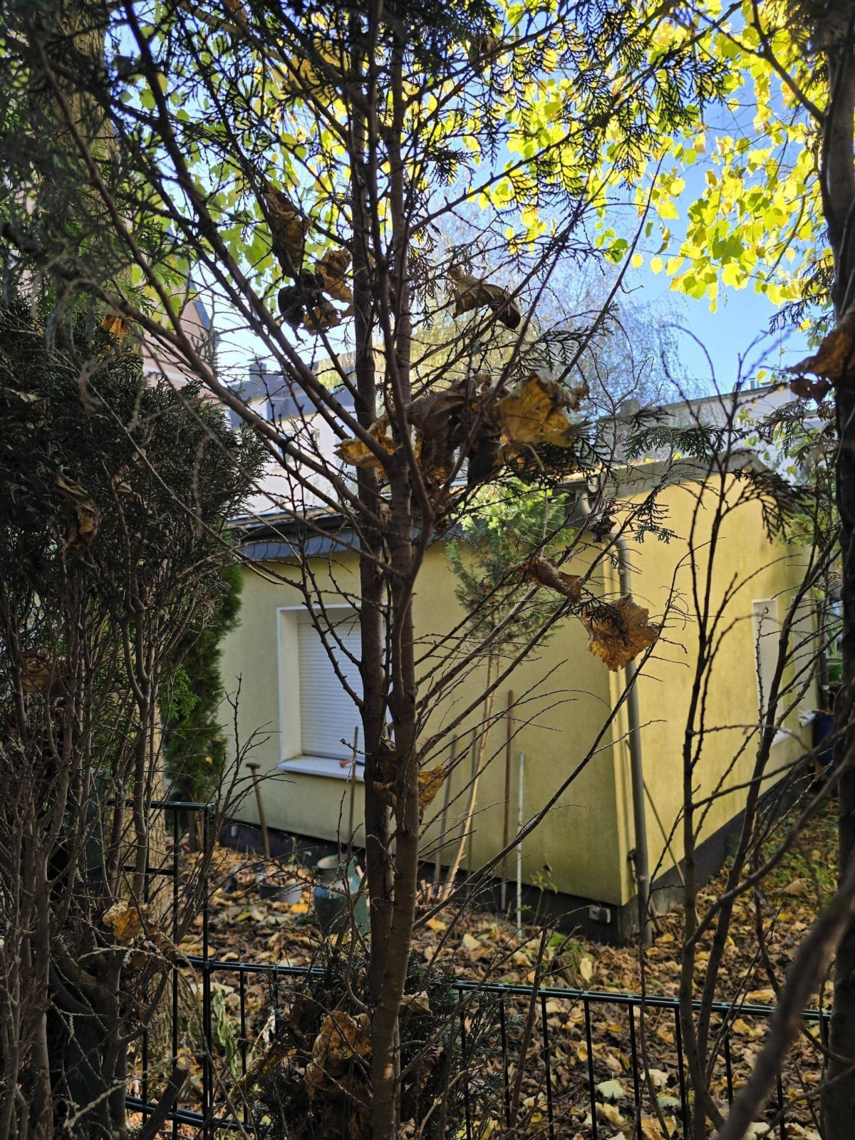 Bungalow