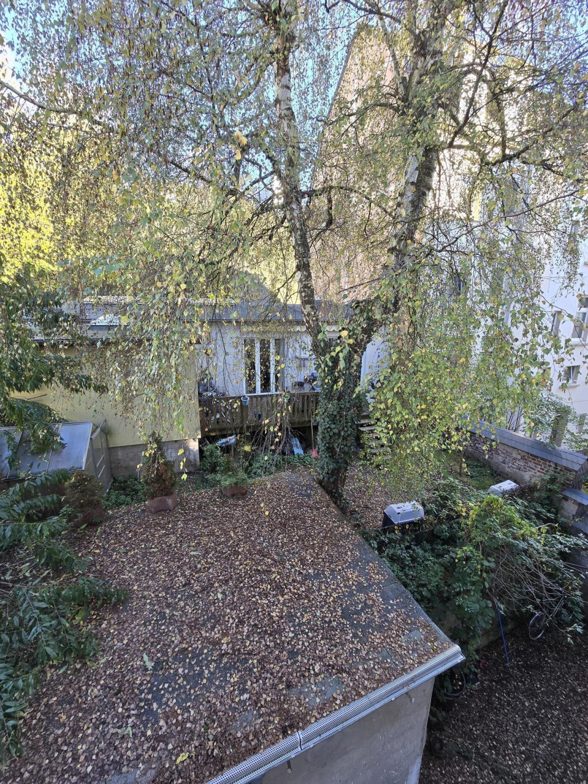Bungalow Garten