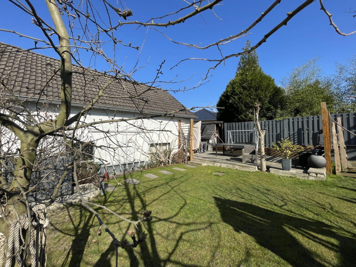 Blick in den Garten (2)