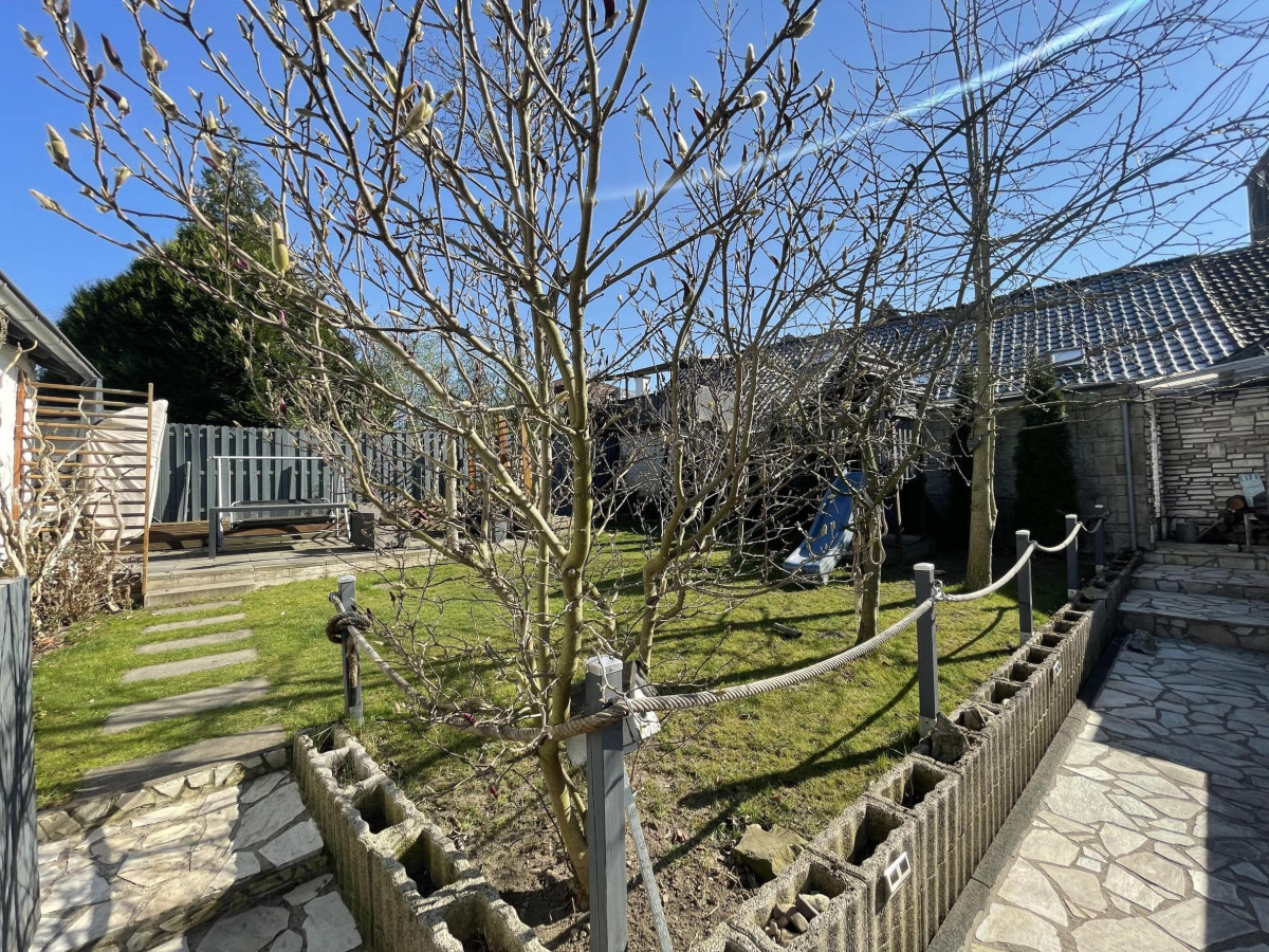 Blick in den Garten (1)