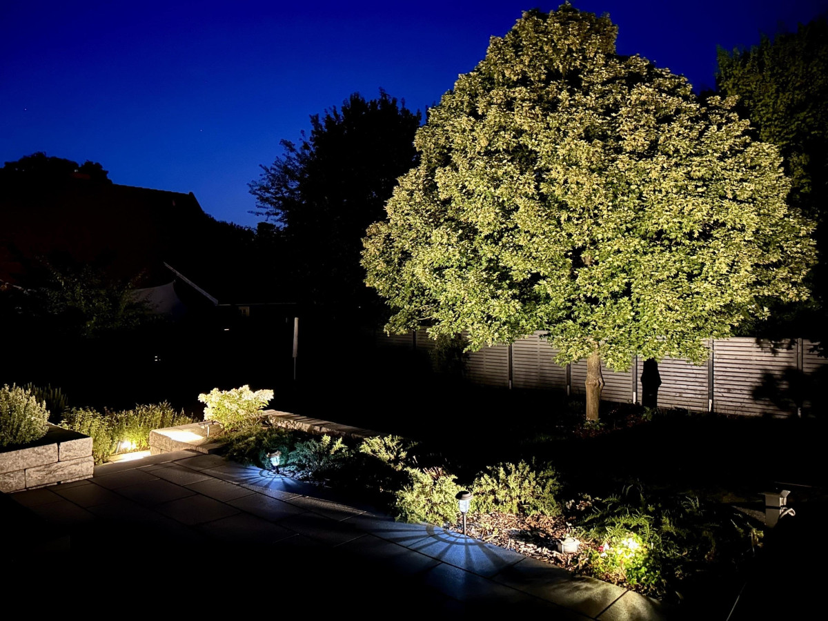 Abendlicher Blick zum Garten