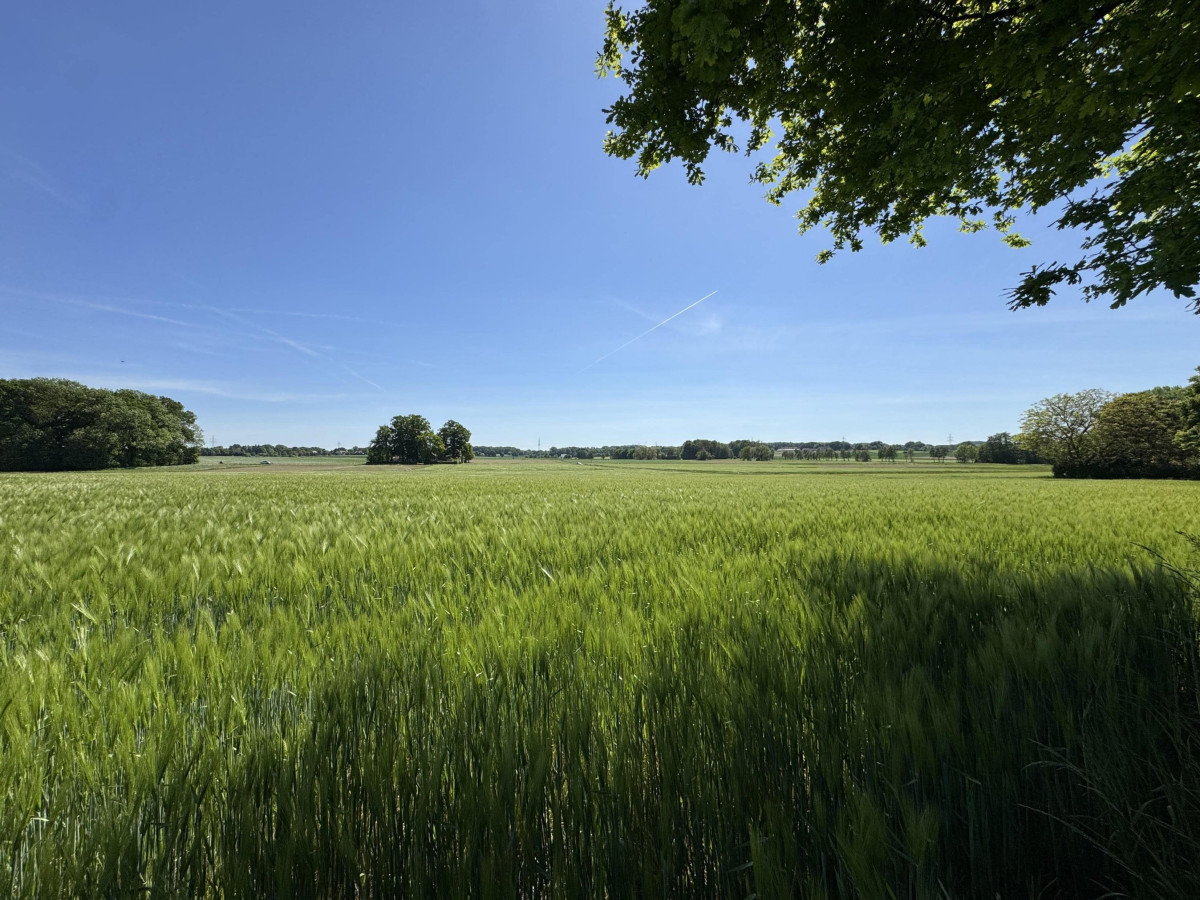 Ackerland