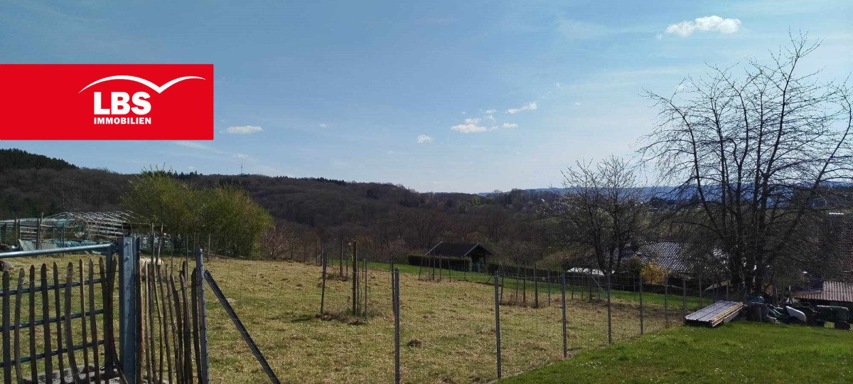 Ausblick