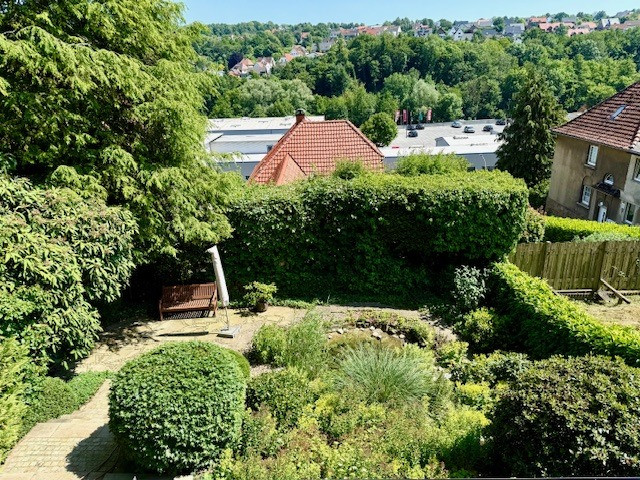 Blick in den Garten