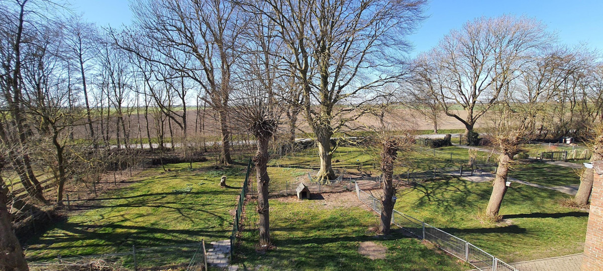 Blick zum Deich