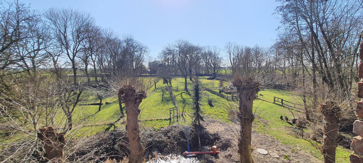 Blick auf die Weide