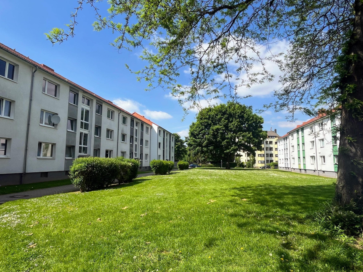 Rasenfläche