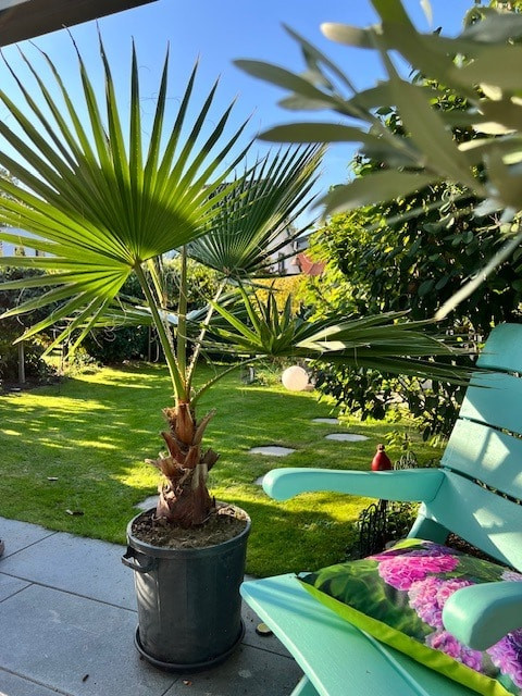 Garten1