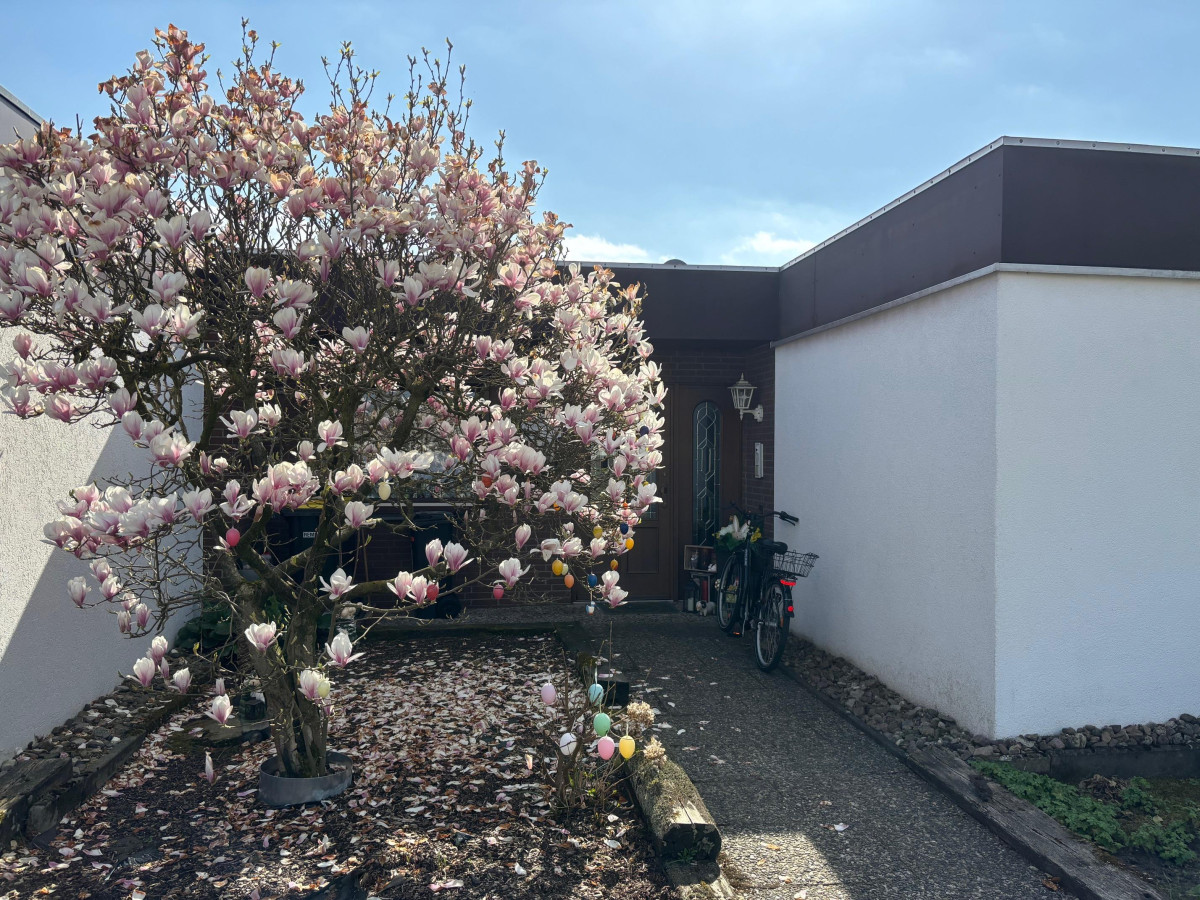 Hauseingang mit Magnolienbaum