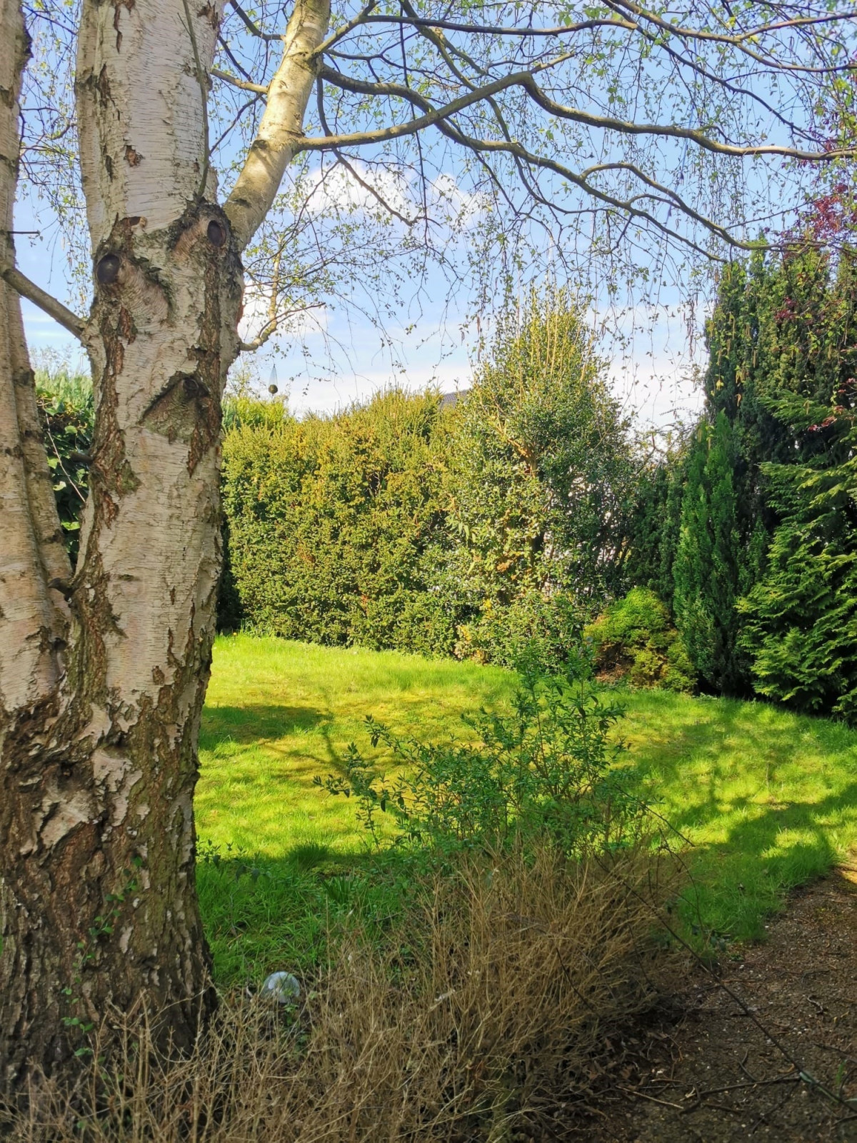 Blick in den Garten