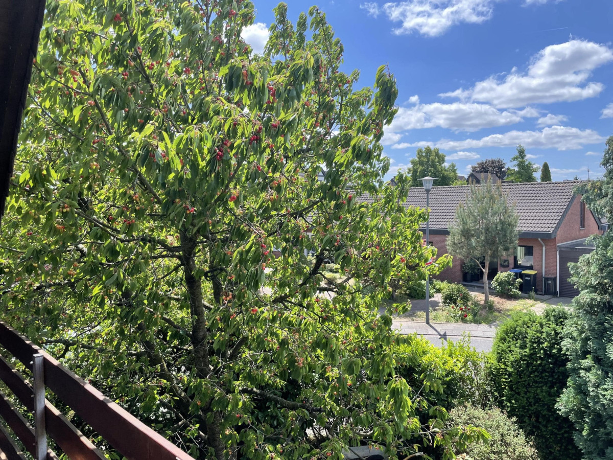Blick von der Loggia (1)