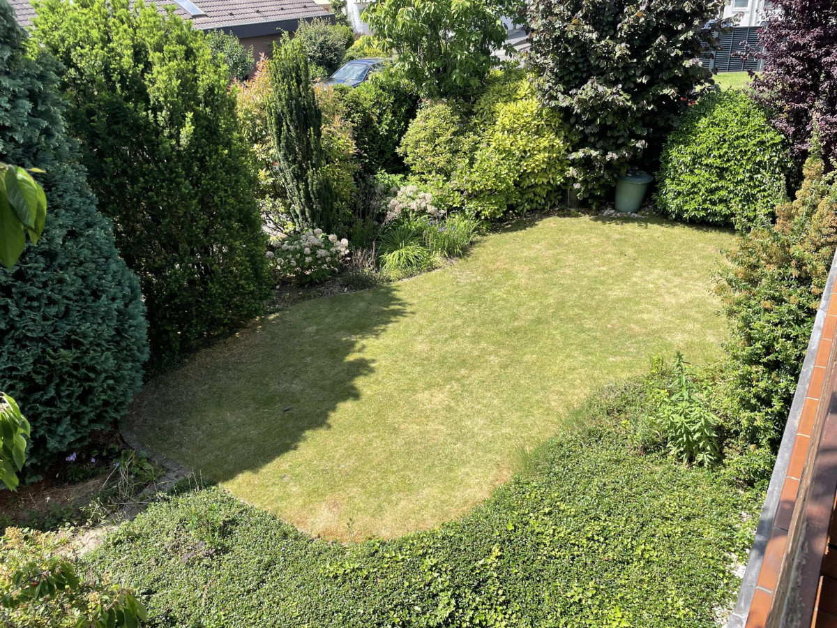 Blick in den Garten