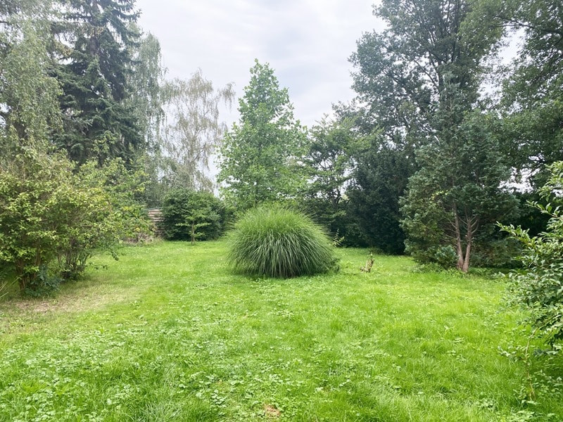 Gartenimpressionen